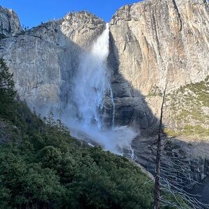 Meet your Posher, Vivi